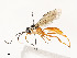  ( - CBG-A58661-A03)  @11 [ ] CreativeCommons - Attribution Share - Alike (2025) CBG Photography Group Centre for Biodiversity Genomics