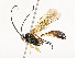  ( - CBG-A58661-D02)  @11 [ ] CreativeCommons - Attribution Share - Alike (2025) CBG Photography Group Centre for Biodiversity Genomics