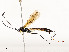  ( - CBG-A58661-D03)  @11 [ ] CreativeCommons - Attribution Share - Alike (2025) CBG Photography Group Centre for Biodiversity Genomics