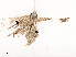  ( - CBG-A58661-F11)  @11 [ ] CreativeCommons - Attribution Share - Alike (2025) CBG Photography Group Centre for Biodiversity Genomics