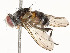  ( - CBG-A58697-B04)  @11 [ ] CreativeCommons - Attribution Share - Alike (2024) CBG Photography Group Centre for Biodiversity Genomics