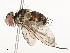  ( - CBG-A58697-B05)  @11 [ ] CreativeCommons - Attribution Share - Alike (2024) CBG Photography Group Centre for Biodiversity Genomics