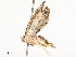  ( - CBG-A58697-E02)  @11 [ ] CreativeCommons - Attribution Share - Alike (2024) CBG Photography Group Centre for Biodiversity Genomics