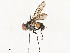  ( - CBG-A58698-A03)  @11 [ ] CreativeCommons - Attribution Share - Alike (2024) CBG Photography Group Centre for Biodiversity Genomics
