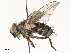  ( - CBG-A58698-D10)  @11 [ ] CreativeCommons - Attribution Share - Alike (2024) CBG Photography Group Centre for Biodiversity Genomics