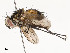  ( - CBG-A58700-B01)  @11 [ ] CreativeCommons - Attribution Share - Alike (2024) CBG Photography Group Centre for Biodiversity Genomics