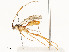  ( - CBG-A58700-D10)  @11 [ ] CreativeCommons - Attribution Share - Alike (2024) CBG Photography Group Centre for Biodiversity Genomics