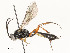  ( - CBG-A58700-E11)  @11 [ ] CreativeCommons - Attribution Share - Alike (2024) CBG Photography Group Centre for Biodiversity Genomics