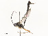  ( - CBG-A58700-F04)  @11 [ ] CreativeCommons - Attribution Share - Alike (2024) CBG Photography Group Centre for Biodiversity Genomics
