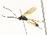  ( - CBG-A58700-F09)  @11 [ ] CreativeCommons - Attribution Share - Alike (2024) CBG Photography Group Centre for Biodiversity Genomics