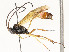  ( - CBG-A58700-G05)  @11 [ ] CreativeCommons - Attribution Share - Alike (2024) CBG Photography Group Centre for Biodiversity Genomics