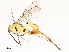  ( - CBG-A58700-G09)  @11 [ ] CreativeCommons - Attribution Share - Alike (2024) CBG Photography Group Centre for Biodiversity Genomics