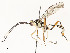  ( - CBG-A58700-H11)  @11 [ ] CreativeCommons - Attribution Share - Alike (2024) CBG Photography Group Centre for Biodiversity Genomics