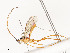  ( - CBG-A58701-A01)  @11 [ ] CreativeCommons - Attribution Share - Alike (2025) CBG Photography Group Centre for Biodiversity Genomics