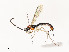  ( - CBG-A58701-A03)  @11 [ ] CreativeCommons - Attribution Share - Alike (2025) CBG Photography Group Centre for Biodiversity Genomics