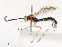  ( - CBG-A58701-A04)  @11 [ ] CreativeCommons - Attribution Share - Alike (2025) CBG Photography Group Centre for Biodiversity Genomics