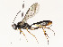  ( - CBG-A58701-A07)  @11 [ ] CreativeCommons - Attribution Share - Alike (2025) CBG Photography Group Centre for Biodiversity Genomics