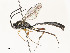  ( - CBG-A58701-A08)  @11 [ ] CreativeCommons - Attribution Share - Alike (2025) CBG Photography Group Centre for Biodiversity Genomics