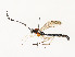  ( - CBG-A58701-A12)  @11 [ ] CreativeCommons - Attribution Share - Alike (2025) CBG Photography Group Centre for Biodiversity Genomics