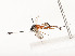  ( - CBG-A58701-B02)  @11 [ ] CreativeCommons - Attribution Share - Alike (2025) CBG Photography Group Centre for Biodiversity Genomics