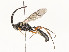  ( - CBG-A58701-B07)  @11 [ ] CreativeCommons - Attribution Share - Alike (2025) CBG Photography Group Centre for Biodiversity Genomics