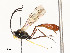  ( - CBG-A58701-C03)  @11 [ ] CreativeCommons - Attribution Share - Alike (2025) CBG Photography Group Centre for Biodiversity Genomics