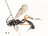 ( - CBG-A58701-C12)  @11 [ ] CreativeCommons - Attribution Share - Alike (2025) CBG Photography Group Centre for Biodiversity Genomics