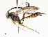  ( - CBG-A58701-E02)  @11 [ ] CreativeCommons - Attribution Share - Alike (2025) CBG Photography Group Centre for Biodiversity Genomics