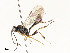  ( - CBG-A58701-F08)  @11 [ ] CreativeCommons - Attribution Share - Alike (2025) CBG Photography Group Centre for Biodiversity Genomics