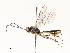  ( - CBG-A58701-F09)  @11 [ ] CreativeCommons - Attribution Share - Alike (2025) CBG Photography Group Centre for Biodiversity Genomics