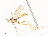  ( - CBG-A58701-G04)  @11 [ ] CreativeCommons - Attribution Share - Alike (2025) CBG Photography Group Centre for Biodiversity Genomics