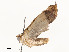  ( - CBG-A58701-G07)  @11 [ ] CreativeCommons - Attribution Share - Alike (2025) CBG Photography Group Centre for Biodiversity Genomics