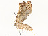  ( - CBG-A58701-G08)  @11 [ ] CreativeCommons - Attribution Share - Alike (2025) CBG Photography Group Centre for Biodiversity Genomics