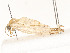  ( - CBG-A58701-H08)  @11 [ ] CreativeCommons - Attribution Share - Alike (2025) CBG Photography Group Centre for Biodiversity Genomics