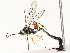  ( - CBG-A58713-H06)  @11 [ ] CreativeCommons - Attribution Share - Alike (2025) CBG Photography Group Centre for Biodiversity Genomics
