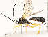  ( - CBG-A58713-H07)  @11 [ ] CreativeCommons - Attribution Share - Alike (2025) CBG Photography Group Centre for Biodiversity Genomics