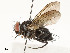  ( - CBG-A59485-B07)  @11 [ ] CreativeCommons - Attribution Share - Alike (2025) CBG Photography Group Centre for Biodiversity Genomics
