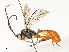 ( - CBG-A59485-D12)  @11 [ ] CreativeCommons - Attribution Share - Alike (2025) CBG Photography Group Centre for Biodiversity Genomics