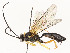 ( - CBG-A59485-F03)  @11 [ ] CreativeCommons - Attribution Share - Alike (2025) CBG Photography Group Centre for Biodiversity Genomics