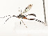  ( - CBG-A59485-F05)  @11 [ ] CreativeCommons - Attribution Share - Alike (2025) CBG Photography Group Centre for Biodiversity Genomics