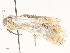  ( - CBG-A59493-D05)  @11 [ ] CreativeCommons - Attribution Share - Alike (2025) CBG Photography Group Centre for Biodiversity Genomics