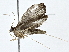  ( - BIOUG64427-A11)  @11 [ ] CreativeCommons - Attribution (2022) CBG Photography Group Centre for Biodiversity Genomics