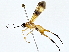  ( - BIOUG64427-G09)  @11 [ ] CreativeCommons - Attribution (2022) CBG Photography Group Centre for Biodiversity Genomics