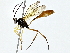  ( - BIOUG64428-E04)  @11 [ ] CreativeCommons - Attribution (2022) CBG Photography Group Centre for Biodiversity Genomics