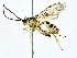  ( - BIOUG64429-B07)  @11 [ ] CreativeCommons - Attribution (2022) CBG Photography Group Centre for Biodiversity Genomics