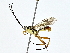  ( - BIOUG64429-C04)  @11 [ ] CreativeCommons - Attribution (2022) CBG Photography Group Centre for Biodiversity Genomics