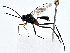  ( - BIOUG64429-E08)  @11 [ ] CreativeCommons - Attribution (2022) CBG Photography Group Centre for Biodiversity Genomics
