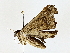  ( - BIOUG64429-H07)  @11 [ ] CreativeCommons - Attribution (2022) CBG Photography Group Centre for Biodiversity Genomics