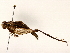  ( - BIOUG73030-A12)  @11 [ ] CreativeCommons - Attribution (2022) CBG Photography Group Centre for Biodiversity Genomics