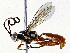  ( - BIOUG73030-D11)  @11 [ ] CreativeCommons - Attribution (2022) CBG Photography Group Centre for Biodiversity Genomics